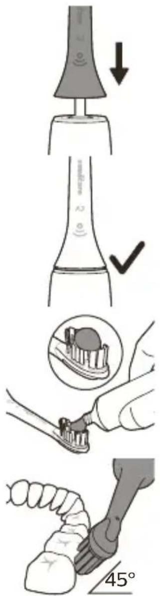 PHILIPS Sonicare DiamondClean Prestige 9900 HX9994 - Borstningsanvisningar - 1