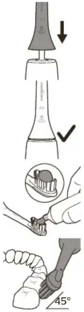 PHILIPS Sonicare DiamondClean Prestige 9900 HX9994 - Pusseinstruktjoner - 1