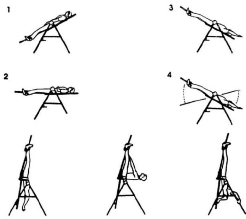 Sissel Hang Up - Benutzung der Inversionsliege - 1