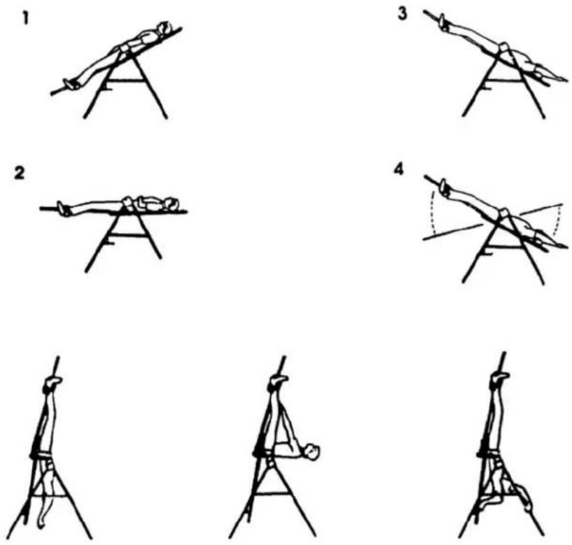 Sissel Hang Up - Using the inversion table - 1