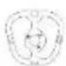 Majority Everest - Contenuo della scatola - 8