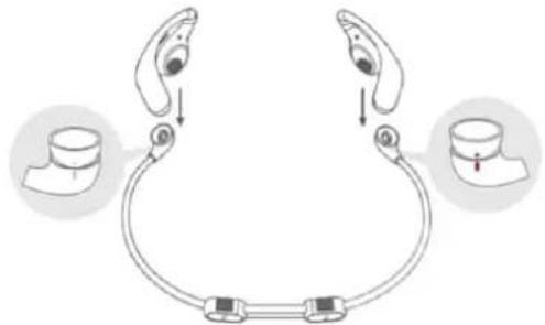 soundcore AeroFit Pro - 使用可拆卸頸環(運動時): - 2