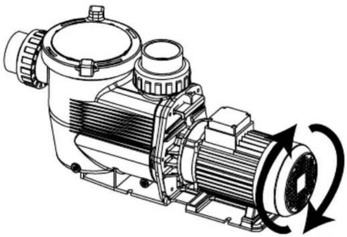 Waterco Aquamite - • DREHRICHTUNG DER PUMPE MIT DREHSTROMMOTOR - 2