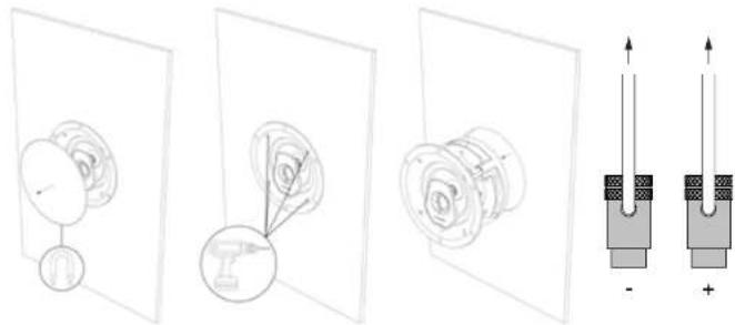 Sonus Faber Palladio PC562 - RIMOZIONE DEL DIFFUSORE - 2