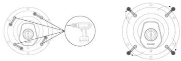 Sonus Faber Palladio PC562 - 3.3-TAGLIARE LUNGO IL PERIMETRO SEGNATO - 6