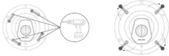 Sonus Faber Palladio PC562 - DECOUPER LE LONG DU PERIMETRE MARQUE - 6