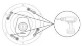 Sonus Faber Palladio PC562 - DEN LAUTSPRECHER IN DIE GESCHAFFENE ÖFFNUNG EINFUHREN - 4
