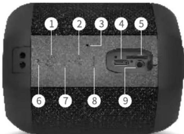 Prixton Dance Box - Specifications: - 1