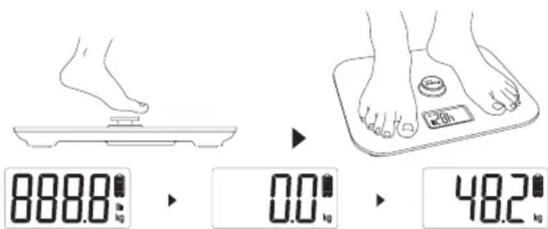Create Balance Body Eco - FONCTIONNEMENT - 1