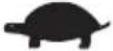 WORX WX354.9 - ADVERTENCIAS DE SEGURIDAD PARA LA BATERÍA - 19
