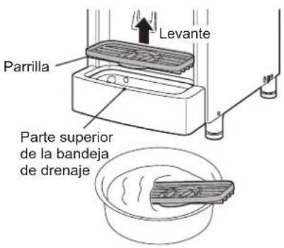 Hoshizaki DCM120KEPHC - [c] Parrilla, limpieza/esterilizacion de la bandeja de drenaje (diaria) - 1