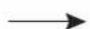 TC ELECTRONIC TC2290 NATIVE - 60-day Travel Period - 2