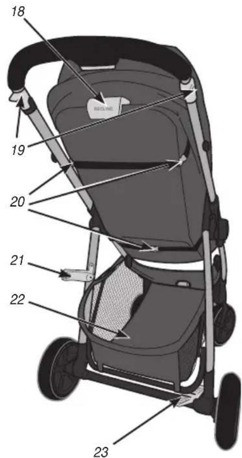 Evenflo Pivot Xpand - Table of Contents - 2