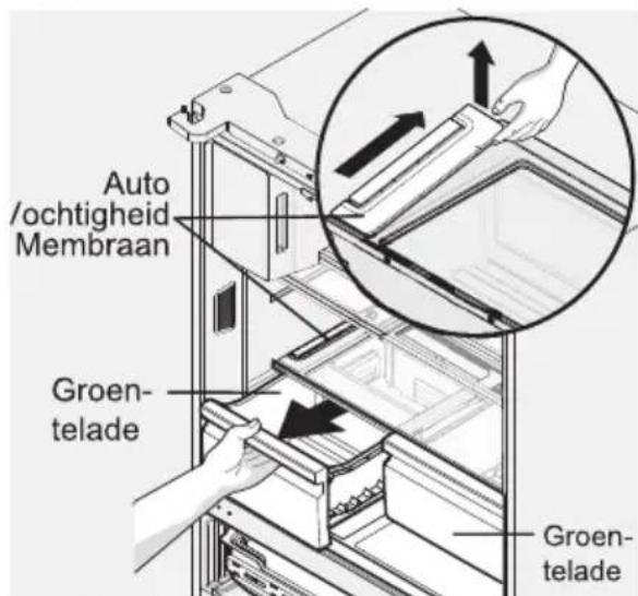 Auto /ochtingheid Membraan Groen- telade Groen- telade