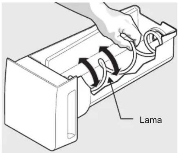Lama