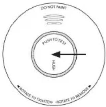 Brandson 304973 - Selbst-Test - 1