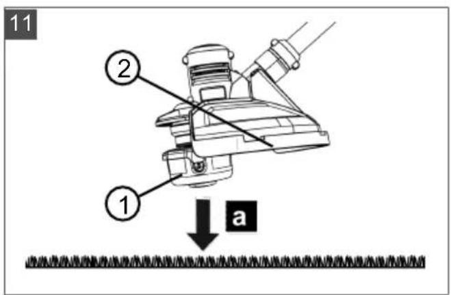 11 ② ① a