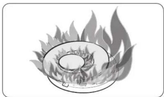 Dacor DOP30T840GS - CAUTION - 1