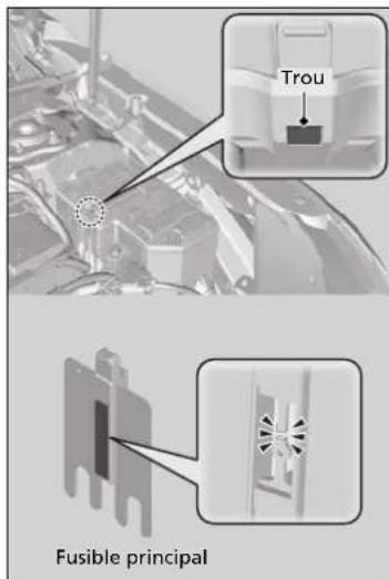 Honda CRV (2025) - Inspection et remplacement des fusibles - 1