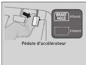 Honda CRV (2025) - Annuler le système - 1