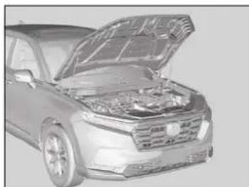 Honda CRV (2025) - Ouverture du capot - 3