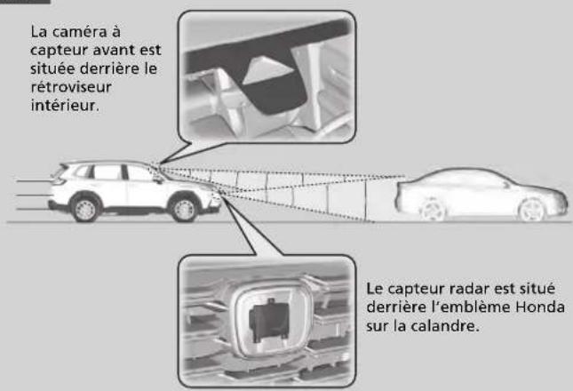 Honda CRV (2025) - Régulateur de vitesse et d'espacement (ACC) avec suivi à basse vitesse - 1