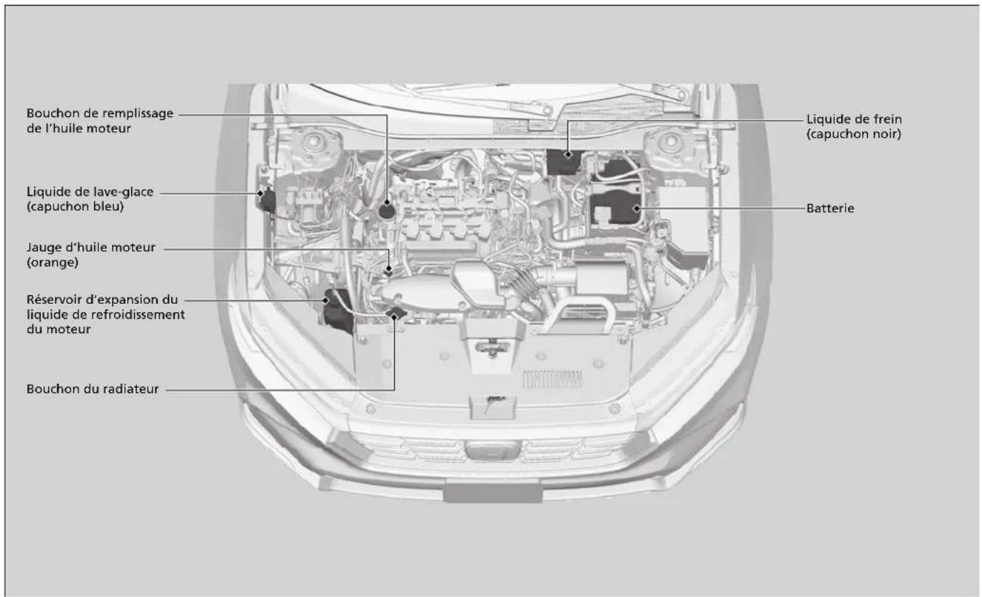 Honda CRV (2025) - Éléments d'entretien sous le capot - 1