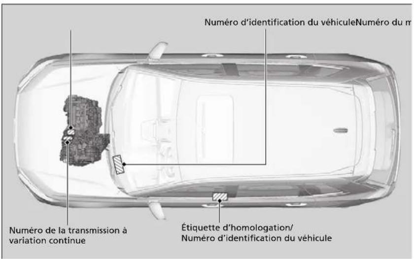 Honda CRV (2025) - Numero d'identification du vehicule (NIV), numero du moteur et numero de la boite de vitesses - 1