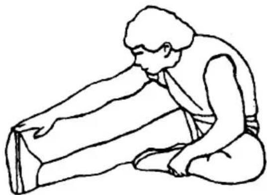 SereneLife SLFTRD12 - HAMSTRING STRETCHES - 1