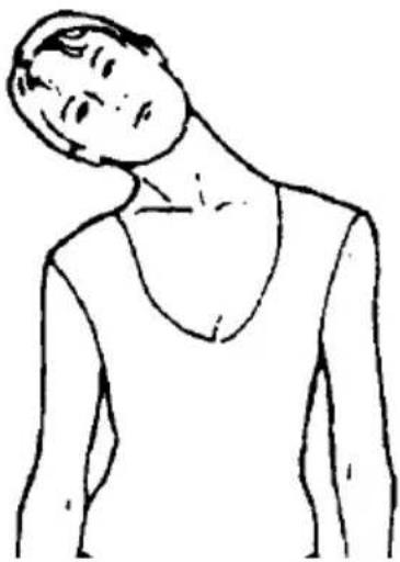 SereneLife SLFTRD12 - ROTATION DE LA TÊTE - 1