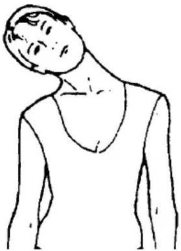 SereneLife SLFTRD12 - GIROS DE CABEZA - 1