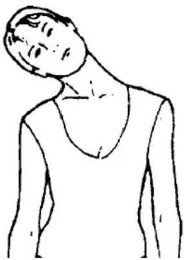 SereneLife SLFTRD12 - HEAD ROLLS - 1