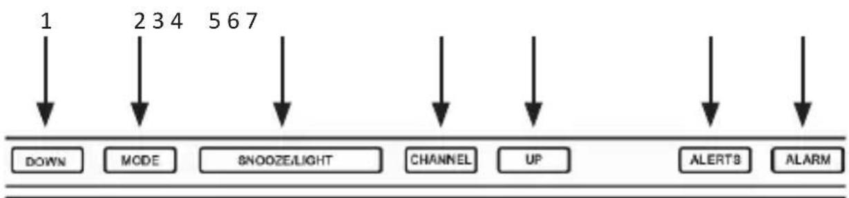 Bearware 302744 - Produkt-Details - 1