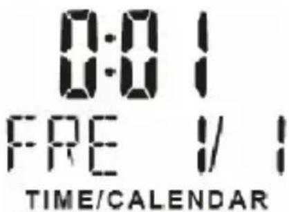 Bearware 302744 - Fecha y día: - 1