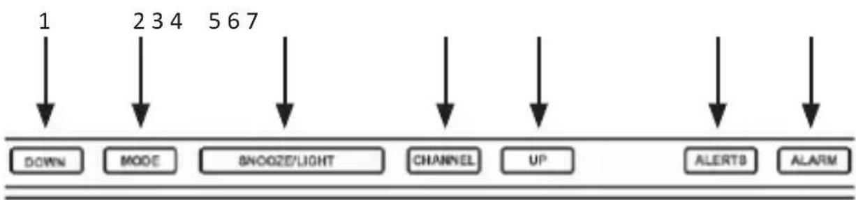 Bearware 302744 - Detalles del producto - 1