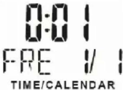 Bearware 302744 - Date and day: - 1