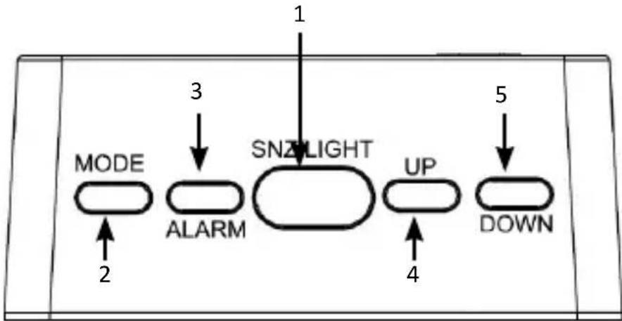 Bearware 303362 - Detalles del producto - 1