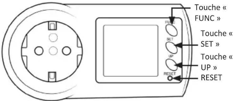 Bearware 302363 - Détails du produit - 1