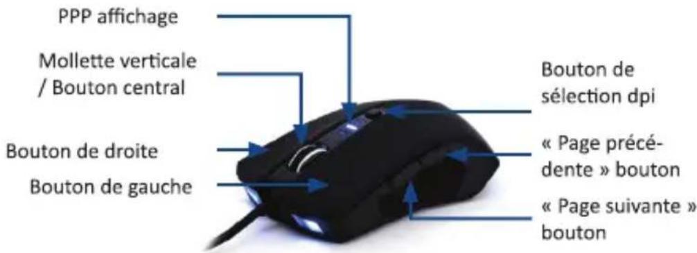 CSL 300610 - Détails du produit - 1