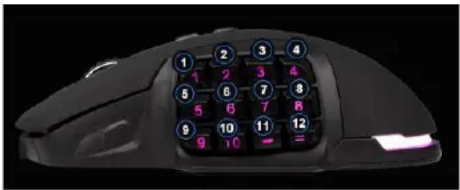 Titanwolf 305360 - Interchanging the buttons - 1