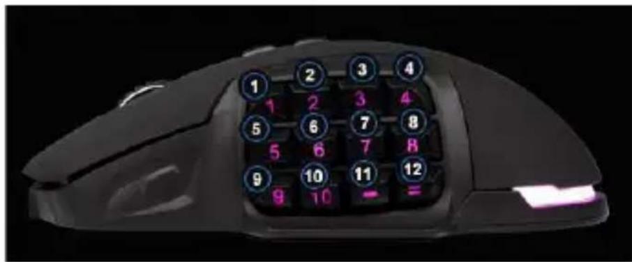 Titanwolf 305360 - Intercambiar botones - 1