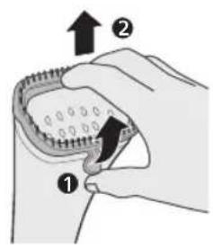 PHILIPS STE1010 - Inserção da escova - 3