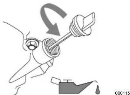 Generac G0066021 - Inspect Engine Oil Level - 1