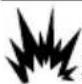 Generac G0066021 - DANGER - 1