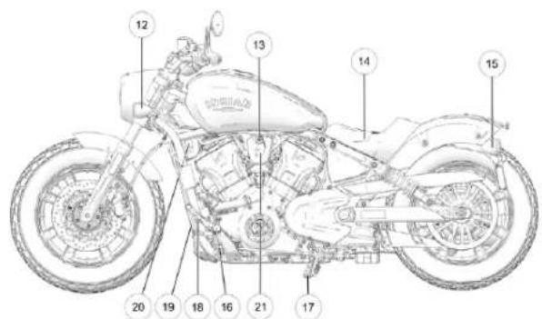 Indian Sport Scout Limited (2025) - AVIS - 2