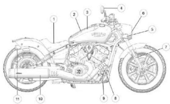 Indian Sport Scout Limited (2025) - AVIS - 1