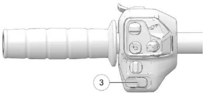 Indian Sport Scout Limited (2025) - AVIS - 1