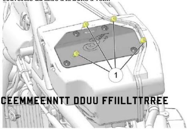 Indian Sport Scout Limited (2025) - AVIS - 1
