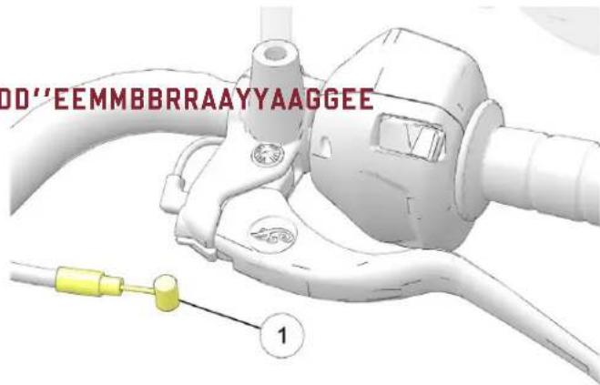 Indian Sport Scout Limited (2025) - AVIS - 1