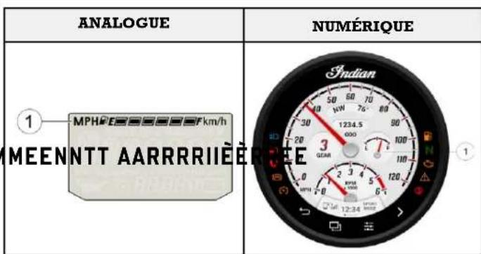 Indian Sport Scout Limited (2025) - NNIIVVEEAAUU DDUU CCAARRBBUUURRAANNTT - 1